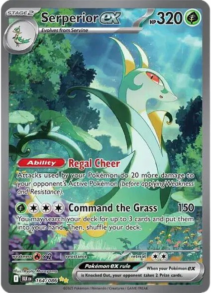 Serperior ex — Near Mint (Black Bolt)